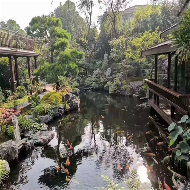 濠江假山植物小鱼池
